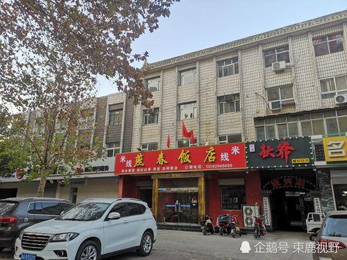 石家庄菜价最新爆料,市民餐桌成本变化揭秘