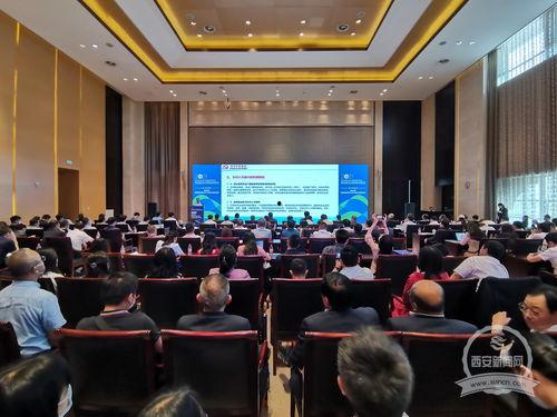 河南爆料西安新闻最新消息 第3张 河南爆料西安新闻最新消息 第3张